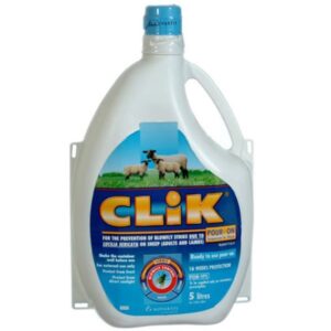 Clik, fly and parasite